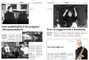 Síða 17