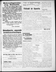 Síða 3