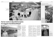 Síða 16