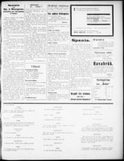 Síða 3