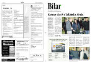 Síða 11