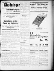 Síða 3