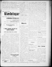 Síða 3