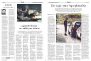 Síða 15