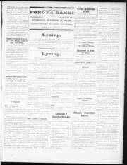 Síða 3