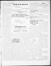 Síða 3