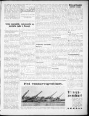 Síða 3