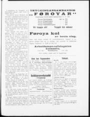 Síða 3