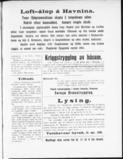 Síða 3