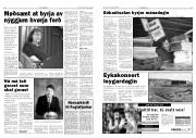 Síða 6