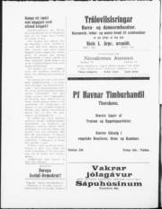Síða 5