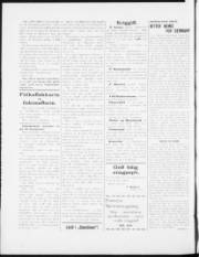 Síða 2