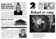 Síða 8