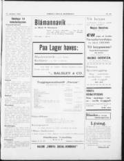 Síða 3