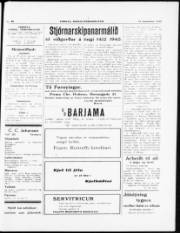 Síða 3