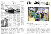 Síða 12