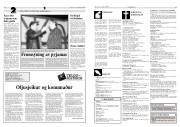 Síða 13
