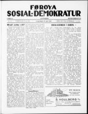 Síða 1