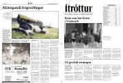 Síða 11