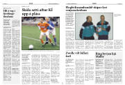 Síða 14