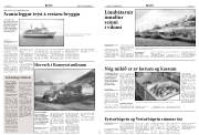 Síða 5